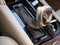 2013 Cadillac XTS Premium