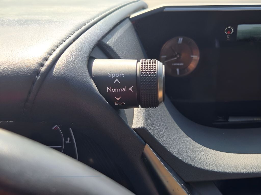2019 Lexus ES 300h Luxury