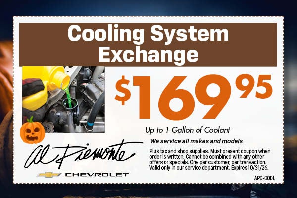 Cooling System Exchange