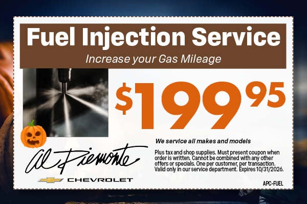 Fuel Injection Service